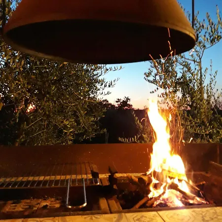 Glamping A Bordo Piscina